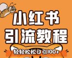 小红书运营引流全系列课程，每天引流100精准粉-大东资源库