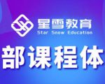星雪教育淘系高级班，更全的运营提升方案，零基础由浅入深，店铺最新玩法-大东资源库