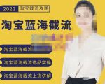 2022淘宝蓝海截流攻略，淘宝蓝海截流选品上货实操讲解-大东资源库