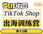 TikTokShop出海训练营（第十三期），打开全球流量新思维，出海抢占全球新流量，一店卖全球-大东资源库