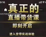 李扭扭超硬核的直播带货课，零粉丝快速引爆抖音直播带货-大东资源库