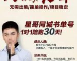 星哥同城教育书单号课程，无需出境简单操作项目稳定-大东资源库