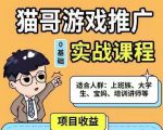 猫哥·游戏推广实战课程，单视频收益达6位数，从0到1成为优质游戏达人-大东资源库