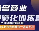 杨名商业IP孵化训练营，从商业到内容到转化一站式学 价值5980元-大东资源库