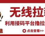 最新接码无限拉新项目，利用接码平台赚拉新平台差价，轻松日赚500+-大东资源库