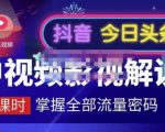 嚴如意·中视频影视解说—掌握流量密码，自媒体运营创收，批量运营账号-大东资源库