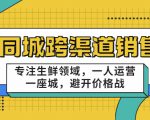 同城跨渠道销售，专注生鲜领域，一人运营一座城，避开价格战-大东资源库