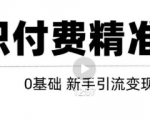 玩转知识付费项目精准引流，给你1套课多账号操作落地方案！-大东资源库