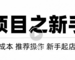 虚拟项目快速起店模式，0成本打造月入几万虚拟店铺！-大东资源库