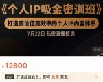 个人IP吸金密训班，打造高价值高效率的个人IP内容体系（价值12800元）-大东资源库