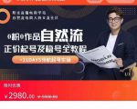 0粉0作品自然流正价起号及稳号全教程，专业自然流起号机构流程化教学（价值2980元）-大东资源库