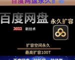 百度网盘无限扩容技术，外面卖399的，无论自己用还是用做引流都可以-大东资源库