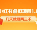《小红书虚拟项目1.0》账号注册+养号+视频制作+引流+变现，几天就赚两三千-大东资源库
