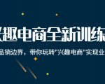 兴趣电商全新训练营：打破品销边界，带你玩转“兴趣电商“实现业务增长-大东资源库