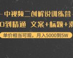 中视频二创解说训练营：从0到精通 文案+标题+素材、月入5000到5W-大东资源库