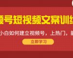 视频号短视频文案训练营：0基础小白如何建立视频号，上热门，能卖货！-大东资源库