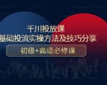 千川投放课：0基础投流实操方法及技巧分享，初级+高级必修课-大东资源库