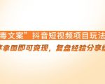 “毒文案”抖音短视频项目玩法，小程序拿图即可变现，复盘经验分享给大家-大东资源库