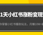 21天小红书涨粉变现营（第4期）：带你掌握小红书爆款玩法，月赚10W+秘密-大东资源库