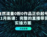 自然流量0粉0作品正价起号11月新课：完整的直播带货实操方案-大东资源库