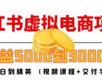 小红书虚拟电商项目：从小白到精英 月收益5000到30000 (视频课程+交付手册)-大东资源库
