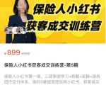 保险人小红书获客成交训练营，0基础高效玩转小红书，可复制的获客成交之路-大东资源库