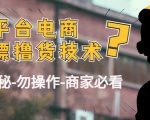 外面收费2980的全平台电商白嫖撸货技术（仅揭秘勿操作-商家防范必看）-大东资源库
