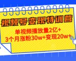 21天视频号变现特训营：单视频播放量2亿+3个月涨粉30w+变现20w+（第14期）-大东资源库