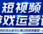 短视频游戏赚钱特训营，0门槛小白也可以操作，日入1000+-大东资源库
