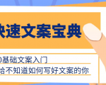 快速文案宝典，0基础文案入门，给不知道如何写好文案的你-大东资源库