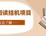 全自动阅读挂机项目，号称单窗10r，全套脚本+教程，小白上手简单-大东资源库