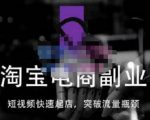 蓝Sir派·淘宝短视频快速起店，替代传统搜索方式，学会做一个不一样的淘宝店-大东资源库