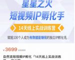 瑶瑶·自然流短视频IP孵化第二期，14天线上实战训练营，赋能100个人成为有数据能赚钱的独立IP孵化手-大东资源库