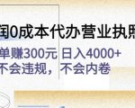 高利润0成本代办营业执照项目：一单赚300元日入4000+不会违规，不会内卷-大东资源库