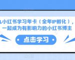 厦九九小红书学习年卡（全年IP孵化），沉浸式学习，一起成为有影响力的小红书博主-大东资源库