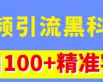 视频引流黑科技玩法，不花钱推广，视频播放量达到100万+，每日100+精准客源-大东资源库