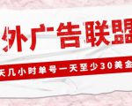 外面收费1980的最新国外LEAD广告联盟搬砖项目，单号一天至少30美金【详细玩法教程】-大东资源库