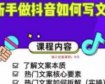 新手做抖音如何写文案，手把手实操如何拆解热门文案-大东资源库