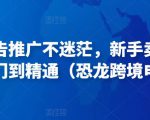 亚马逊广告推广不迷茫，新手卖家产品运营入门到精通（恐龙跨境电商）-大东资源库