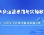 拼多多店铺运营思路与实操教程,快速学会拼多多开店和运营,少踩坑,多盈利-大东资源库