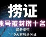 2023年最新抖音八大技术，一证多实名，秒注销，断抖破投流，永久捞证，钱包注销，跳人脸识别，蓝V多实-大东资源库