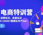 美团电商特训营：美团·店群玩法，无脑铺货月产出6000-15000+精细化月产2w+-大东资源库