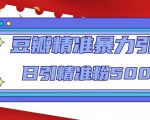 豆瓣精准暴力引流，日引精准粉500+【12课时】-大东资源库