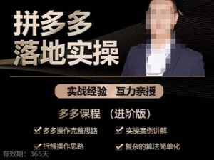 拼多多实战篇·落地实操：多多操作完整思路+实操案例讲解+拆解操作思路+复杂的算法简单化-大东资源库