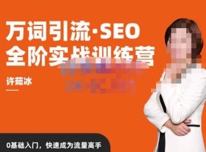 许茹冰·万词引流-SEO全阶实战训练营，0基础入门，快速成为流量高手-大东资源库