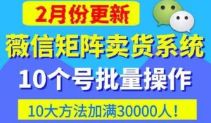 微信矩阵卖货系统，多线程批量养10个微信号，10种加粉落地方法，快速加满3W人卖货！-大东资源库