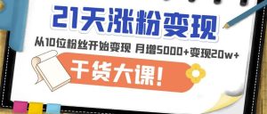 21天精准涨粉变现干货大课：从10位粉丝开始变现月增5000+变现20w+-大东资源库