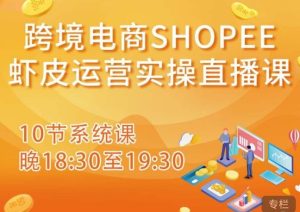 跨境电商Shopee虾皮运营实操直播课，从零开始学，入门到精通（10节系统课）-大东资源库