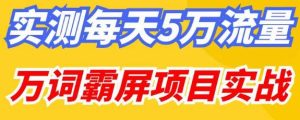 百度万词霸屏实操项目引流课，30天霸屏10万关键词-大东资源库