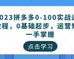 2023拼多多0-100实战运营教程，0基础起步，运营知识一手掌握-大东资源库
